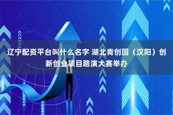 辽宁配资平台叫什么名字 湖北青创园（汉阳）创新创业项目路演大赛举办