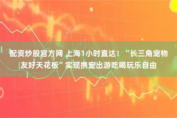 配资炒股官方网 上海1小时直达！“长三角宠物友好天花板”实现携宠出游吃喝玩乐自由