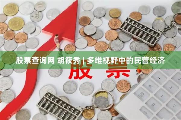 股票查询网 胡筱秀 | 多维视野中的民营经济