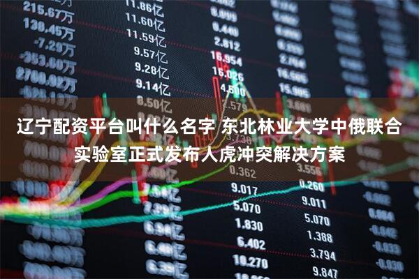 辽宁配资平台叫什么名字 东北林业大学中俄联合实验室正式发布人虎冲突解决方案