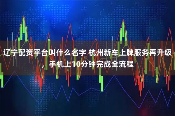 辽宁配资平台叫什么名字 杭州新车上牌服务再升级，手机上10分钟完成全流程