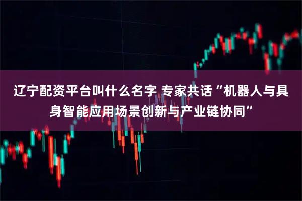 辽宁配资平台叫什么名字 专家共话“机器人与具身智能应用场景创新与产业链协同”